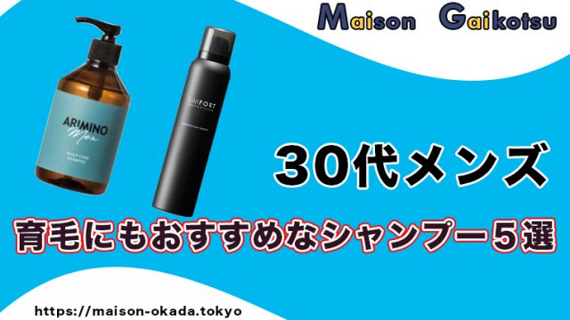 シャンプーに悩む30代メンズに送る 年代にぴったりなオススメなシャンプー5選をランキング形式で紹介します Maison Gaikotsu