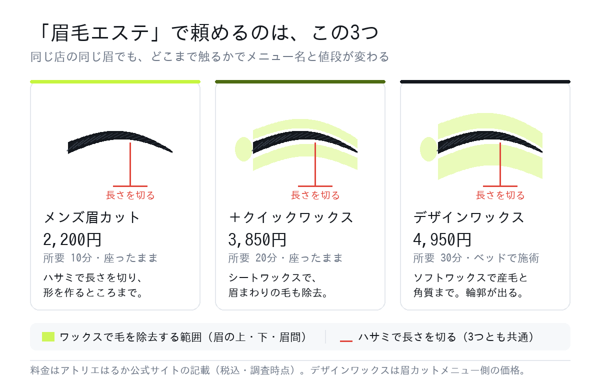 眉毛エステの3メニューが眉のどこまで触るかを示した図。メンズ眉カットは長さを切るだけ、クイックワックスは眉まわりの毛、デザインワックスは産毛と角質まで