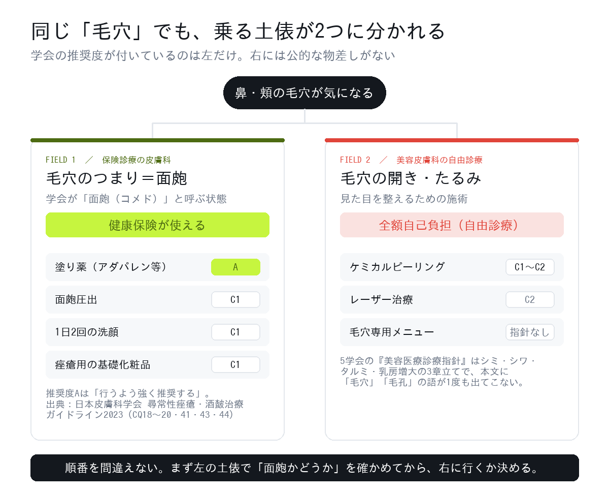 毛穴の悩みが分かれる2つの土俵。保険診療の皮膚科と美容皮膚科の自由診療で、学会の推奨度の有無が違う