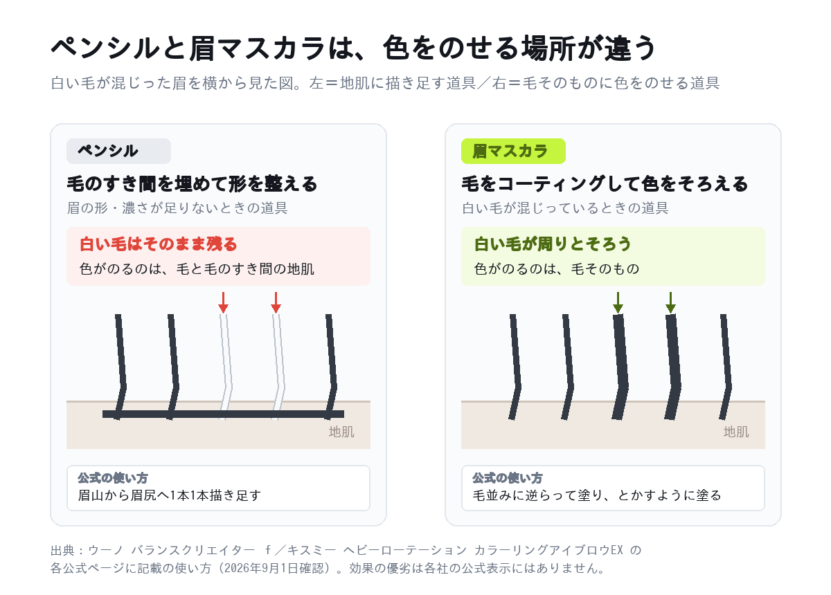 アイブロウペンシルは地肌のすき間に色がのり白い毛が残るのに対し、眉マスカラは毛そのものに色がのって白い毛が周りとそろうことを示した断面図