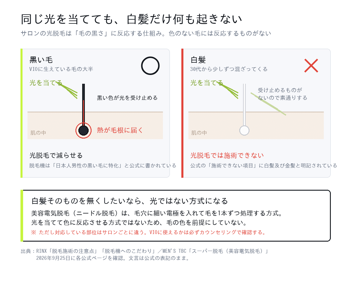 黒い毛には光が届き白髪には届かない仕組みの図解