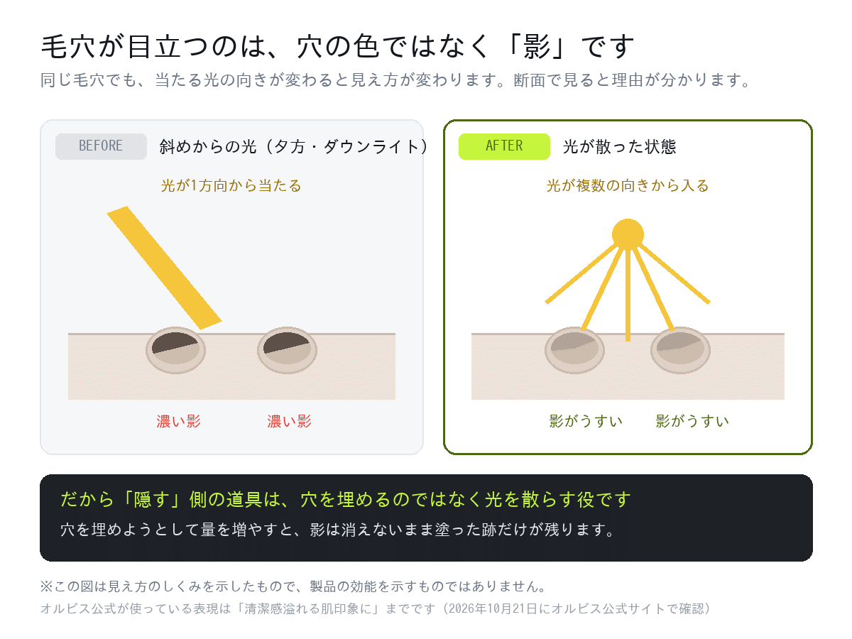毛穴が目立つのは穴の色ではなく影であることを示した断面図