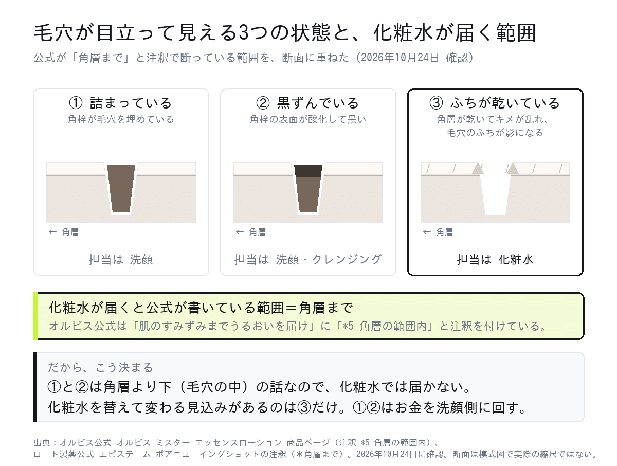 毛穴が目立って見える3つの状態と化粧水が届く角層までの範囲を示した断面図