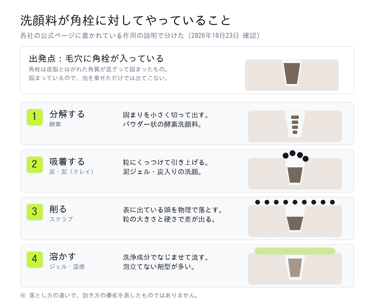 洗顔料が角栓に対してやっていることを分解・吸着・削る・溶かすの4通りに分けた断面図
